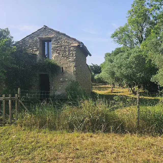 Maison en pierre entourée de verdure